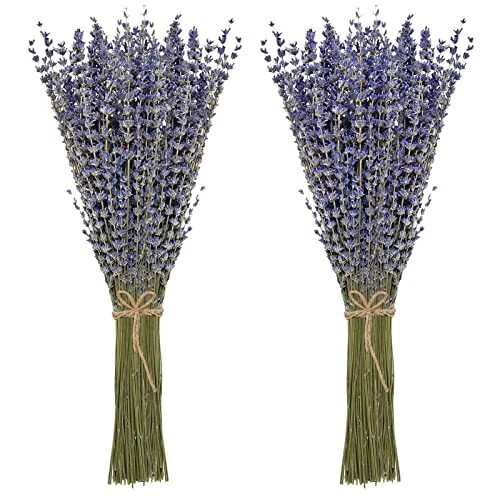 Paquetes de lavanda seca 100 % flores de lavanda secas naturales para el hogar