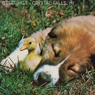 Puppy Duck Crystal Falls Postcard 1970s Michigan Greetings Dog Sleeping MI A972