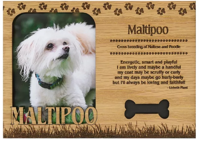 Maltipoo Engraved Wood Picture Frame Magnet