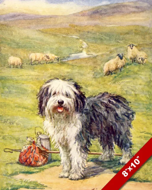 Happy Old English Sheepdog In Field Dog Art Painting Print On Real Canvas