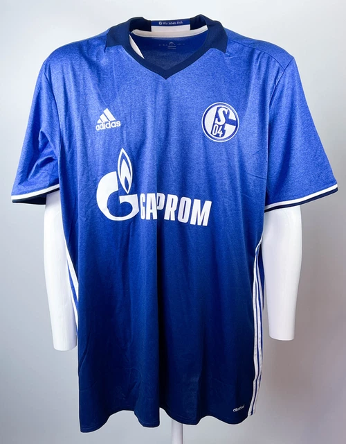 Résultats, forme et classement Schalke 04 saison 2016/2017 Résultats, forme et classement Schalke 04 saison 2016/2017