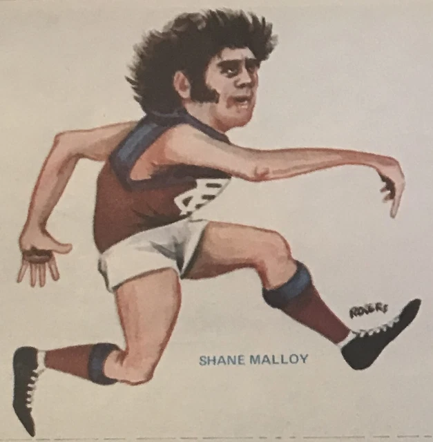 1973 ROGERS CARICATURES Shane Malloy Fitzroy Lions 12.99 PicClick AU