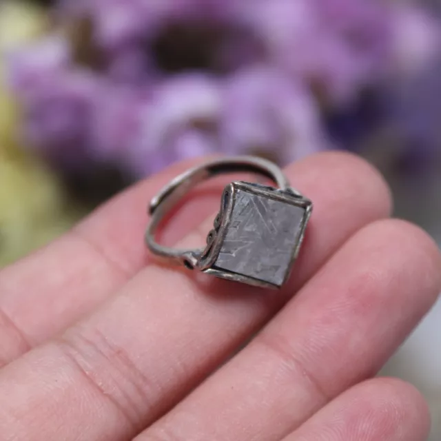 925 Sterling Silver Muonionalusta meteorite Ring part slice Adjustable ring 4586