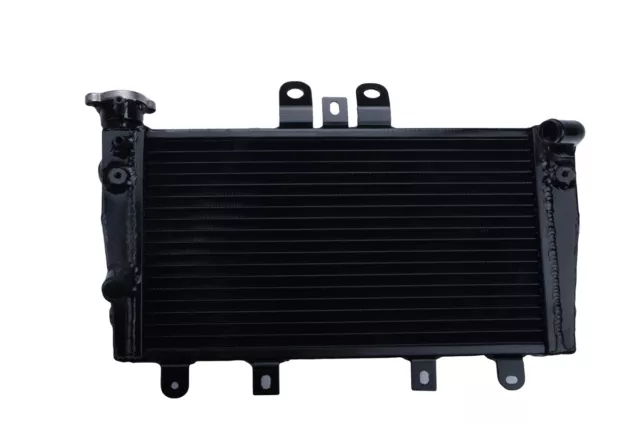 Aluminum alloy Radiator For Triumph 1050 Speed Triple 2005-2010 Black 2