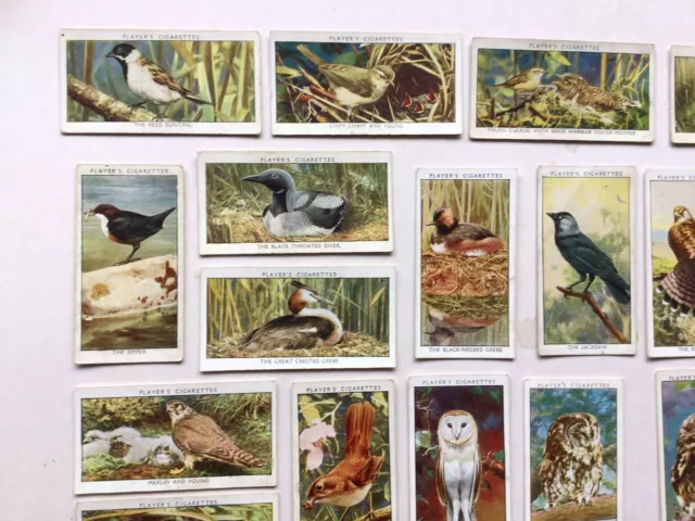 Cigarette Cards- Wild Birds By Players- Part Set 41/50. 2