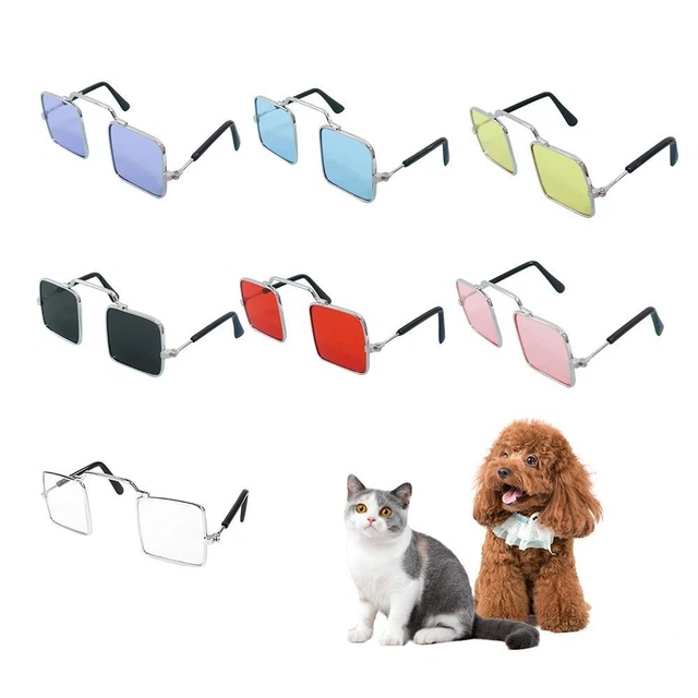 Pequeñas fotos de gatos accesorios gafas de sol gafas de gato mascotas decoración de fiesta gato