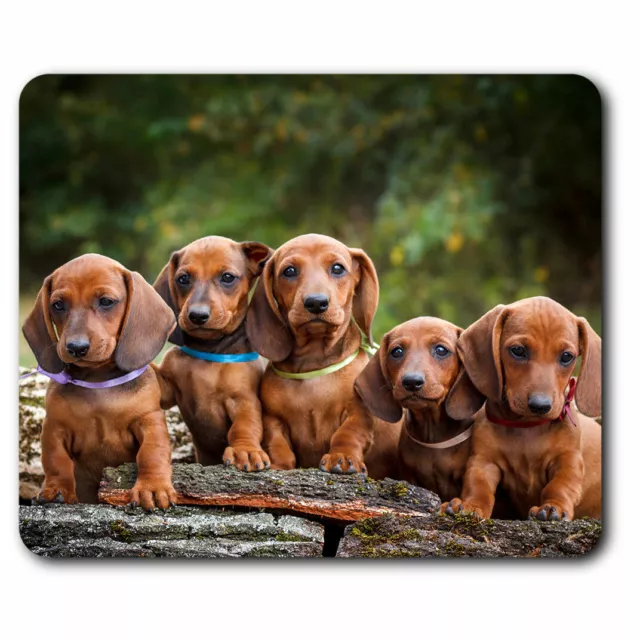 Computer Mouse Mat - Cute Dachshund Puppies Dog Office Gift #2728