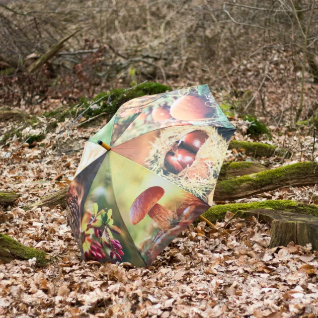 Regenschirm mit farbenprächtigem Herbstmotive, Stockschirm mit Öffnungsautomatik