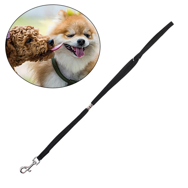 Serratura cane da compagnia clip corda toelettatura corda portatile imbracatura guinzaglio per