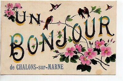 CHALONS SUR MARNE - Marne - CPA 51 - carte Souvenir un Bonjour de ...Oiseaux