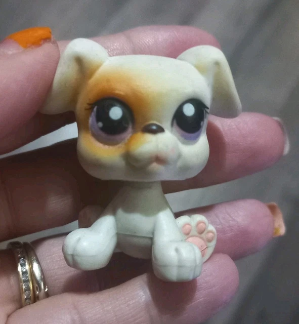 LITTLEST PET SHOP AUTHENTIC PETSHOP LPS #3843 HASBRO DOG MADAME POM