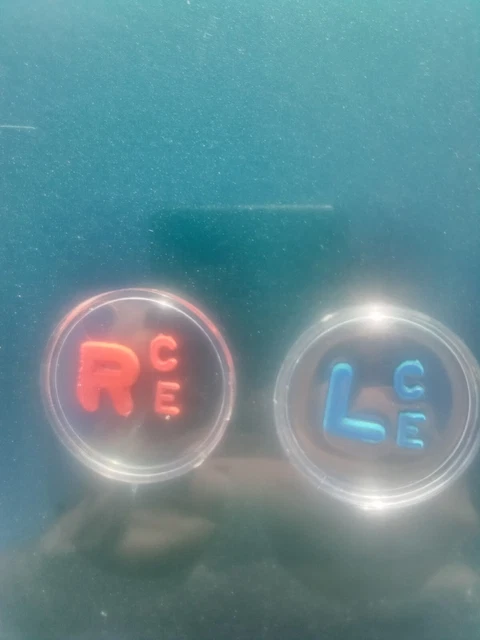 Radiology Markers Initials (CE) Ready To Ship!