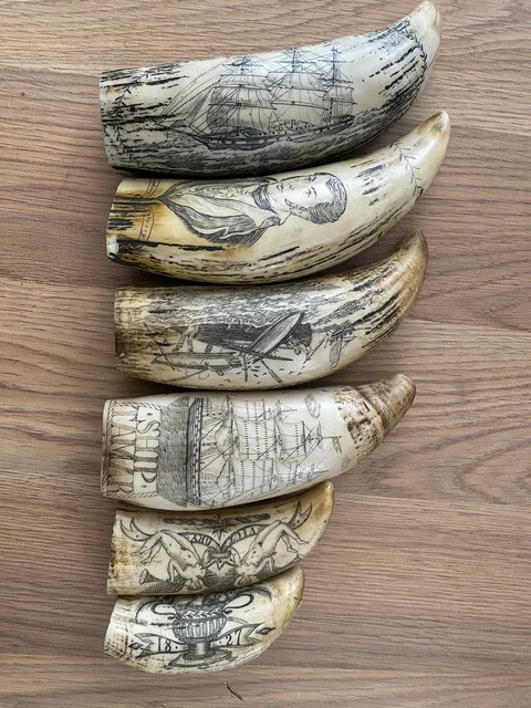 Set Of Six Scrimshaw Reproduction Whale Teeth!!!!!!