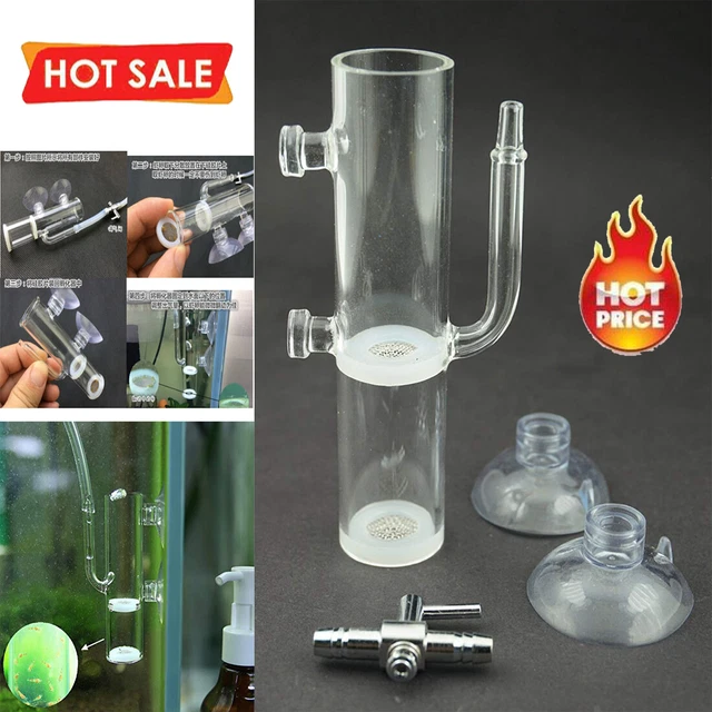 Aquarium Glass Egg Tumbler Incubator Crystal Cherry Shrimp Hatching Hatchery NEW