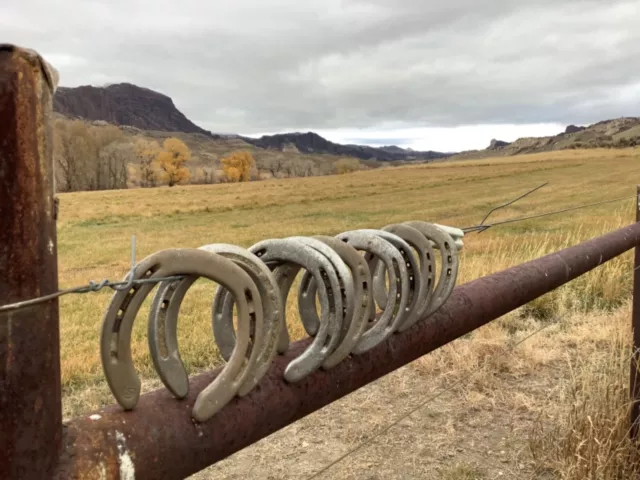 1 Used lucky Horseshoe ,Steel Decorative Rustic Western Decor, Cody Wyoming