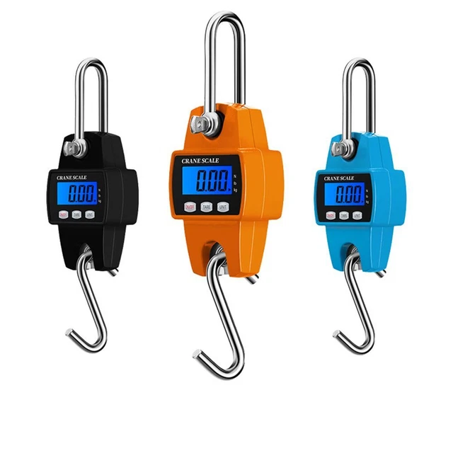 poids Portable Échelle de grue Échelle numérique LCD 300kg Échelle électronique