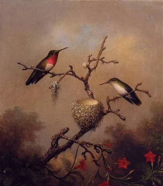 Art Oil painting Martin Johnson Heade - nice birds Ruby-Throated Hummingbird 36"