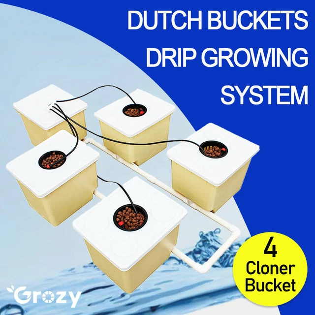 HYDROPONICS DRIP GROWING System Dutch Buckets DWC Completed System