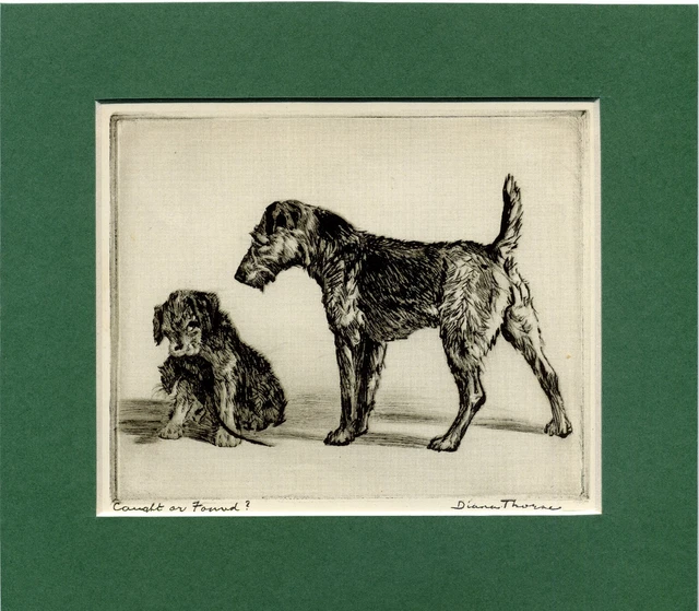 ~ Welsh Terrier ~ Caught or Found?  Print by Diana Thorne Genuine Vintage 1935
