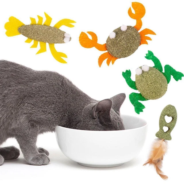 Catnip Stick Cat Mint Snack Pet Healthy Ball Interactive BoneCatnip Fish G2G6