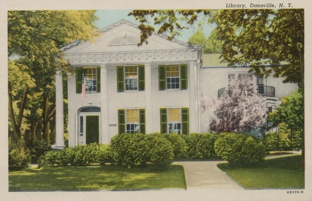 Library Dansville New York Vintage White Border Post Card