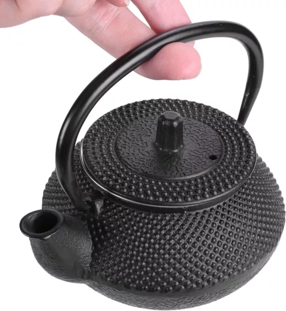 Liseng Japanese Style Cast Iron Teapot with Infuser, Stovetop Safe Cast Iron Te
