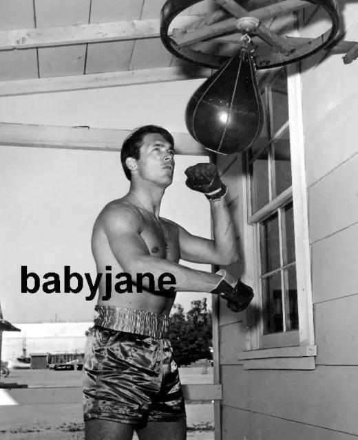 035 Chad Everett Barechested In Boxing Shorts W/ Punching Bag Photo