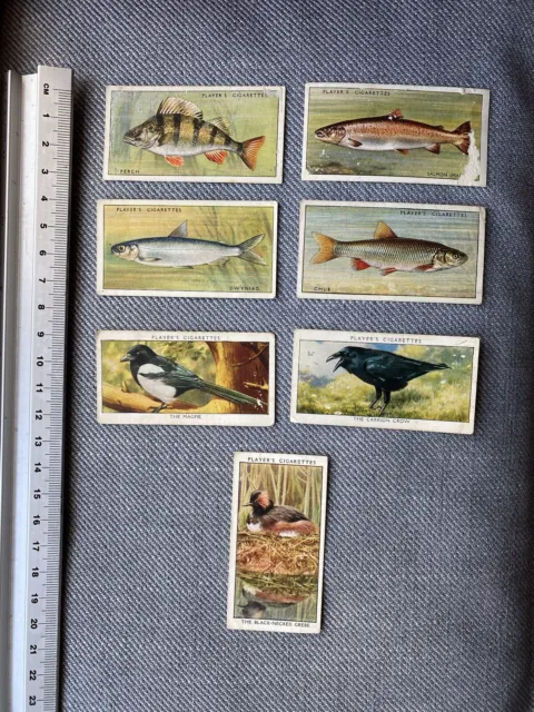 Vintage John Player & Sons Fish And Birds Tobacco Cards