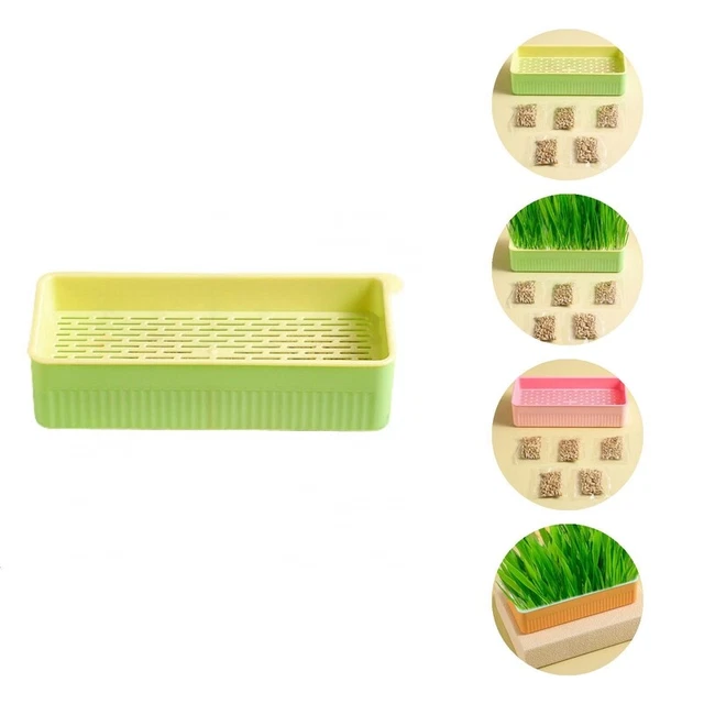 Maceta de hierba para gato fácil de limpiar plantación planta hidropónica maceta de cultivo 3 colores