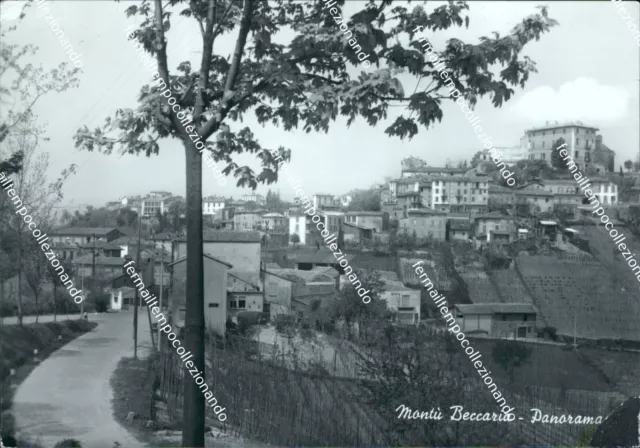 bs628 cartolina montu' beccaria panorama  provincia di pavia  lombardia