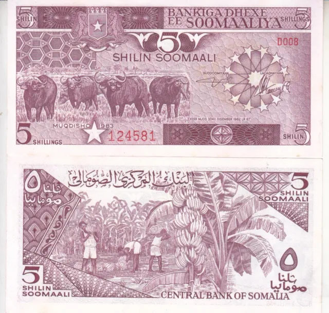 SOMALIA 5 SHILLINGS 1983 P 31a UNC