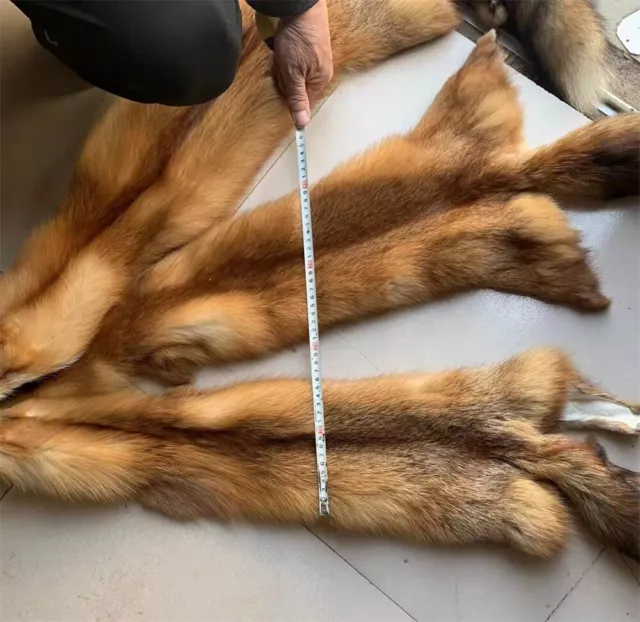 Tanned Red Fox Hide Pelt Fur Winter Heavy Fur High Quality Small Animal Fur Soft Tanned Red Fox Hide Pelt Fur Winter Heavy Fur High Quality Small Animal Fur Soft