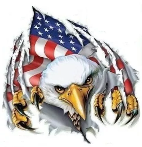 American Flag Eagle Helmet/Bumper Sticker / Decal