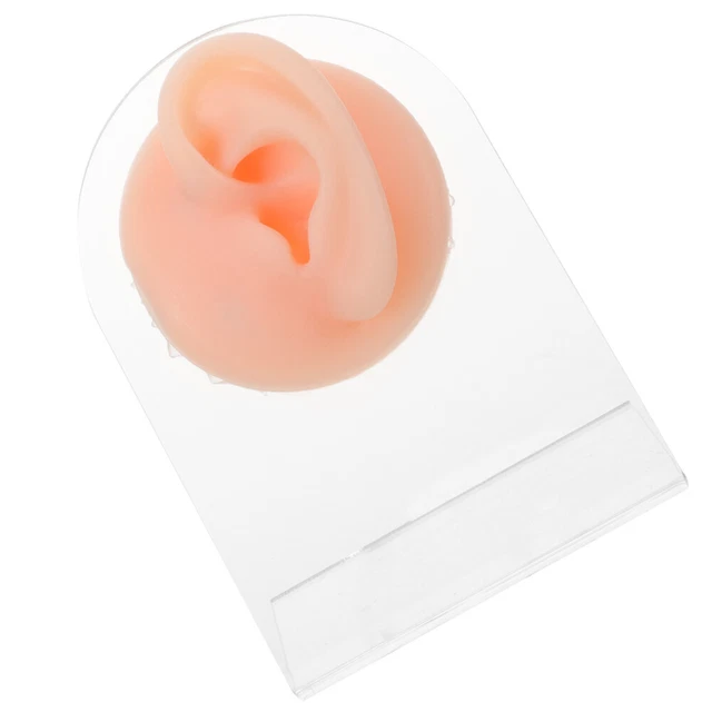 1 juego modelo de piercing de orejas de silicona, modelo de oreja falso,