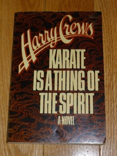 Karate Is a Thing of the Spirit: A Novel