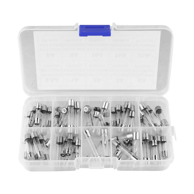 60 pezzi fusibile vetro soffiato rapido 0,5 A-20 A kit selezionato 5x20 mm 6 x 30 mm Glassic