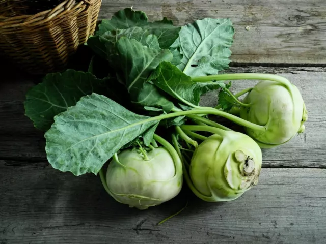 Kohlrabi Gemüse € 1,44/St.  knackig lecker und frisch