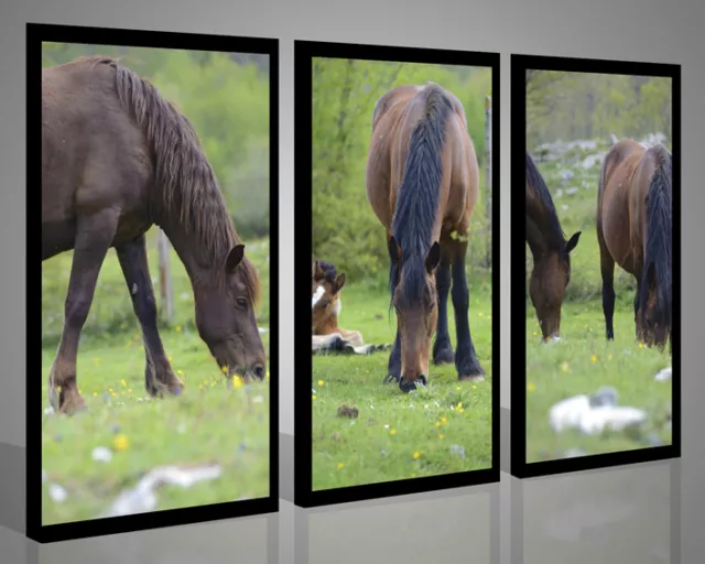 Quadri moderni paesaggi animali SEQUENZE HORSES stampe su tela canvas 130 x 90