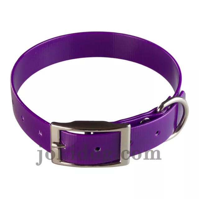 collier biothane® gold 25 mm x 60 cm violet - jokidog