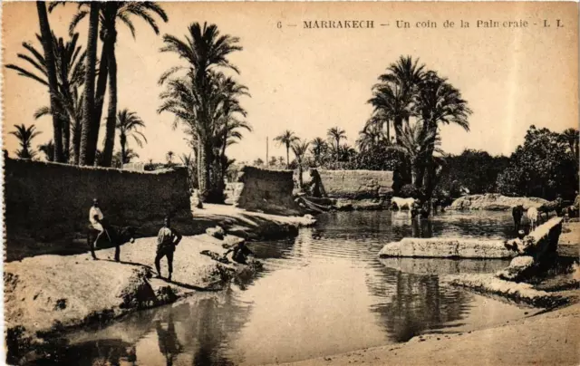 CPA AK MARRAKECH Un coin de la Palmeraie MAROC (689871)