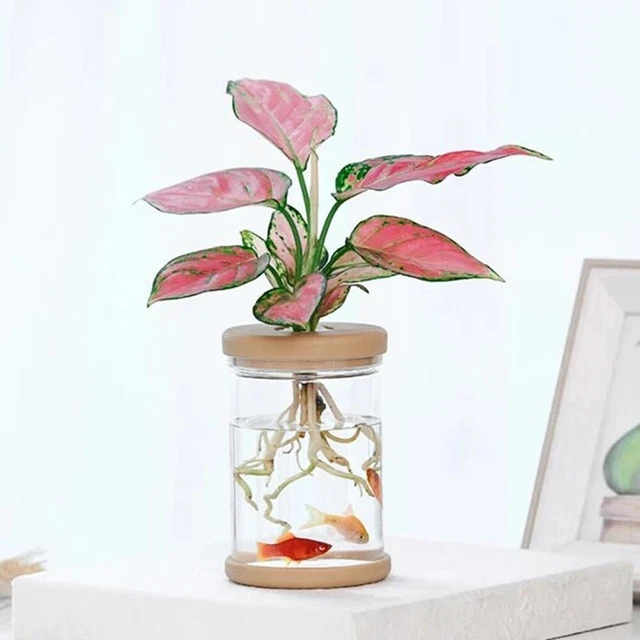 Pot de fleurs - Hydroponique