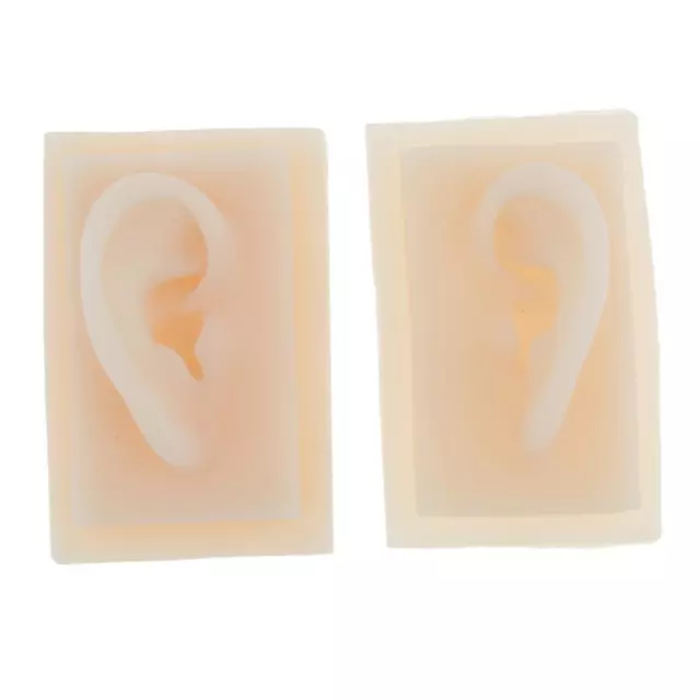 1 Pair Life-Size Silicone Human Ear Acupuncture Display Model Sample Durable