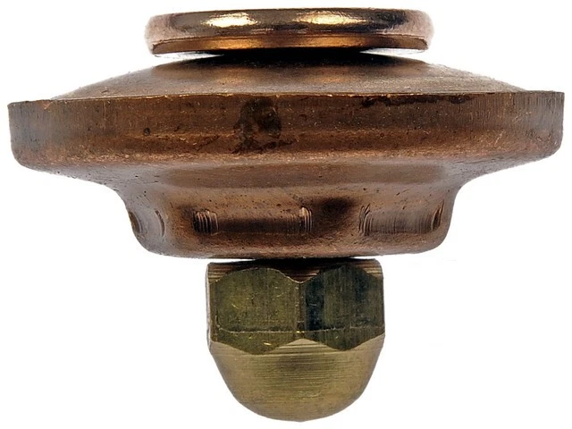 Dorman - Autograde Engine Expansion Plug  02483