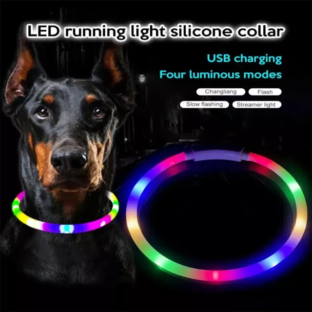 LED Glowing Dog Night Luminous Charge Collar  Dogs Pet  Accessories