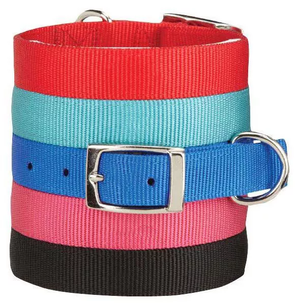 Zack and Zoey Double Layer Nylon Dog Collar Buckle Red Blue Black Pink Durable