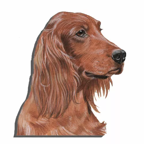 Irish Setter Magnet Wooden