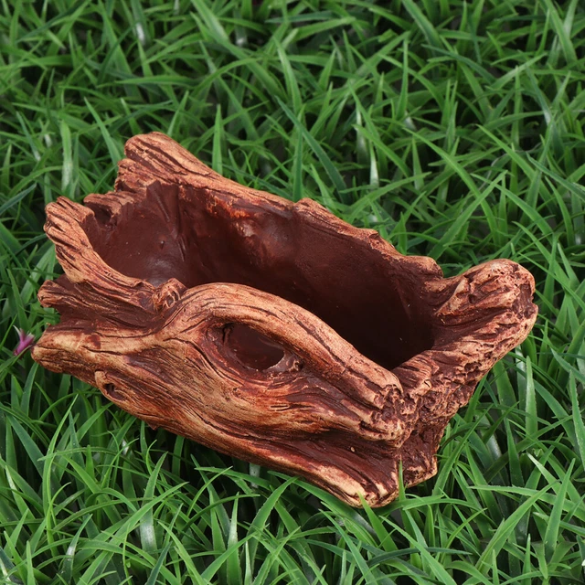 Support De Planteur Racine D'arbre Pots Plantes Grasses Décor Floral