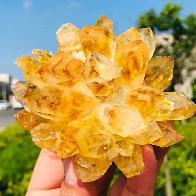 New Find Yellow Phantom Quartz Crystal Cluster Mineral Specimen Healing