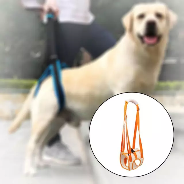 Dog Lift Sling Back Legs Hip Support Harnais de levage Canine Aid Dogs Utile