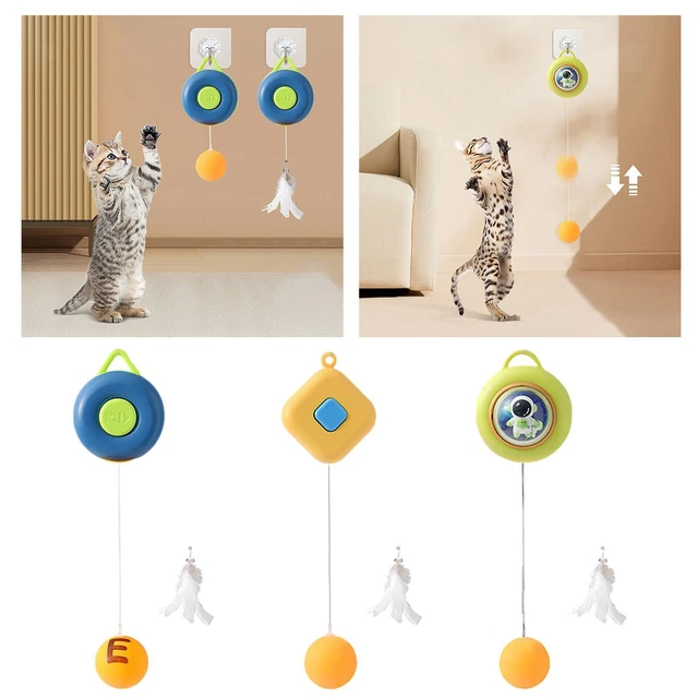 Chat Teaser  Jouet Tennis de Table Jouet Interactif pour Chat, Puzzle Jouet